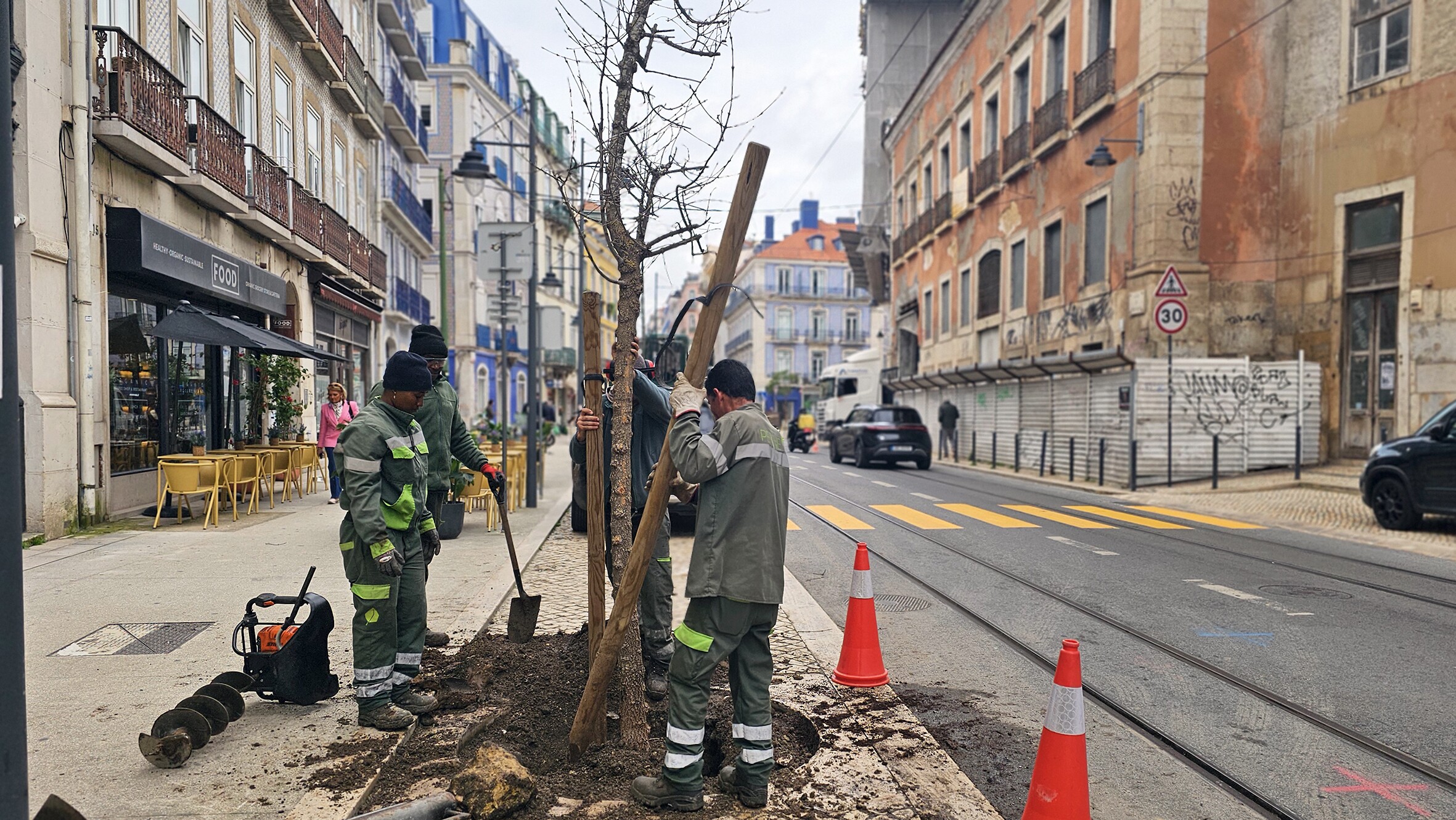 Mais Árvores é mais qualidade de vida