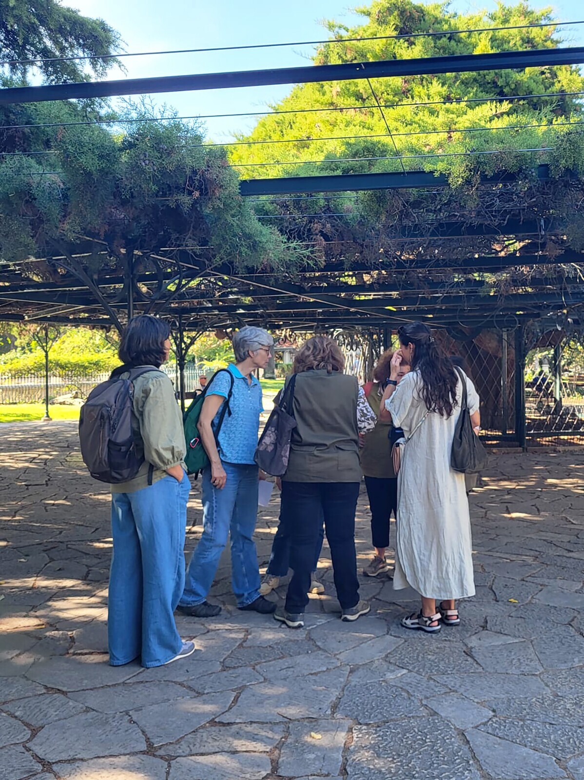 Visita de avaliação fitosanitária ao 'Cedro-do-Buçaco'